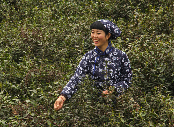 doshow 子弹与吻